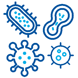 black algae bacteria